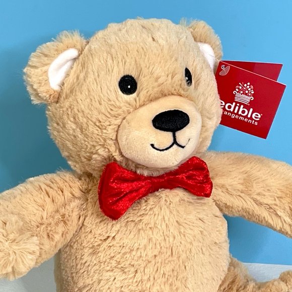 NEW Edi Bear‎ Teddy Lovey 11" Cuddly Plush Stuffed Animal Toy - Picture 2 of 7